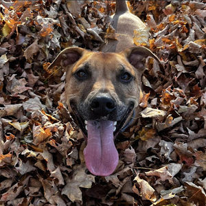 Meet your Posher, Keira